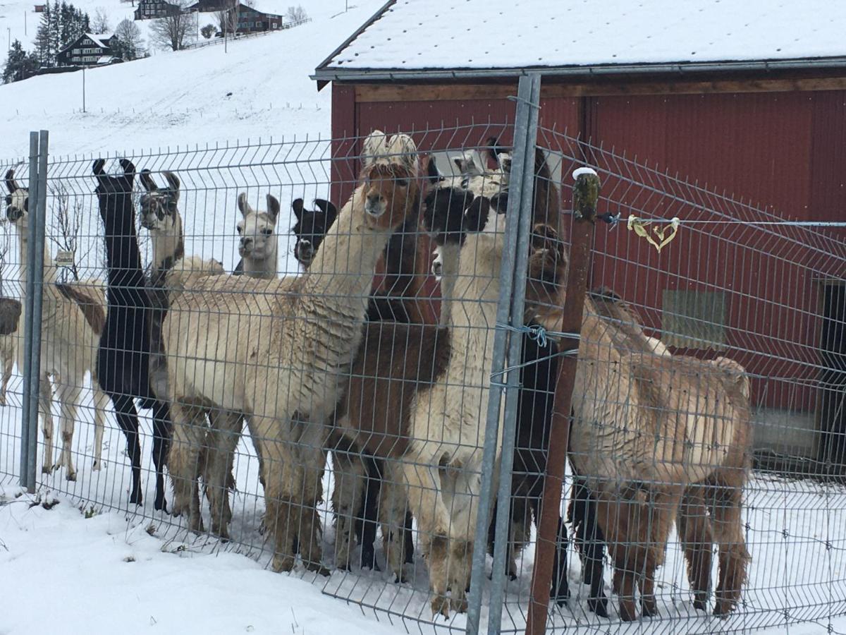 Ferienwohnung Haus Am Bach In Toggenburg 빌트하우스 외부 사진