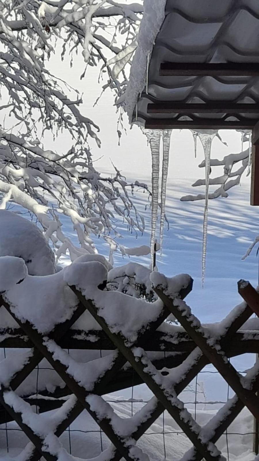 Ferienwohnung Haus Am Bach In Toggenburg 빌트하우스 외부 사진