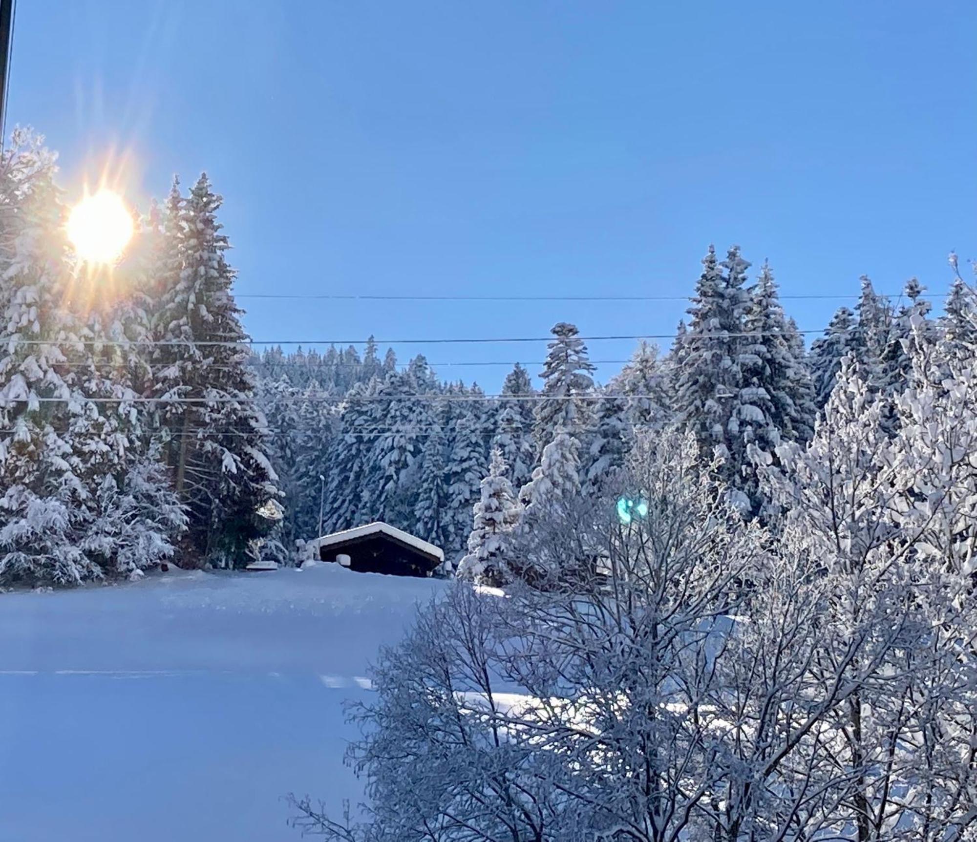 Ferienwohnung Haus Am Bach In Toggenburg 빌트하우스 외부 사진