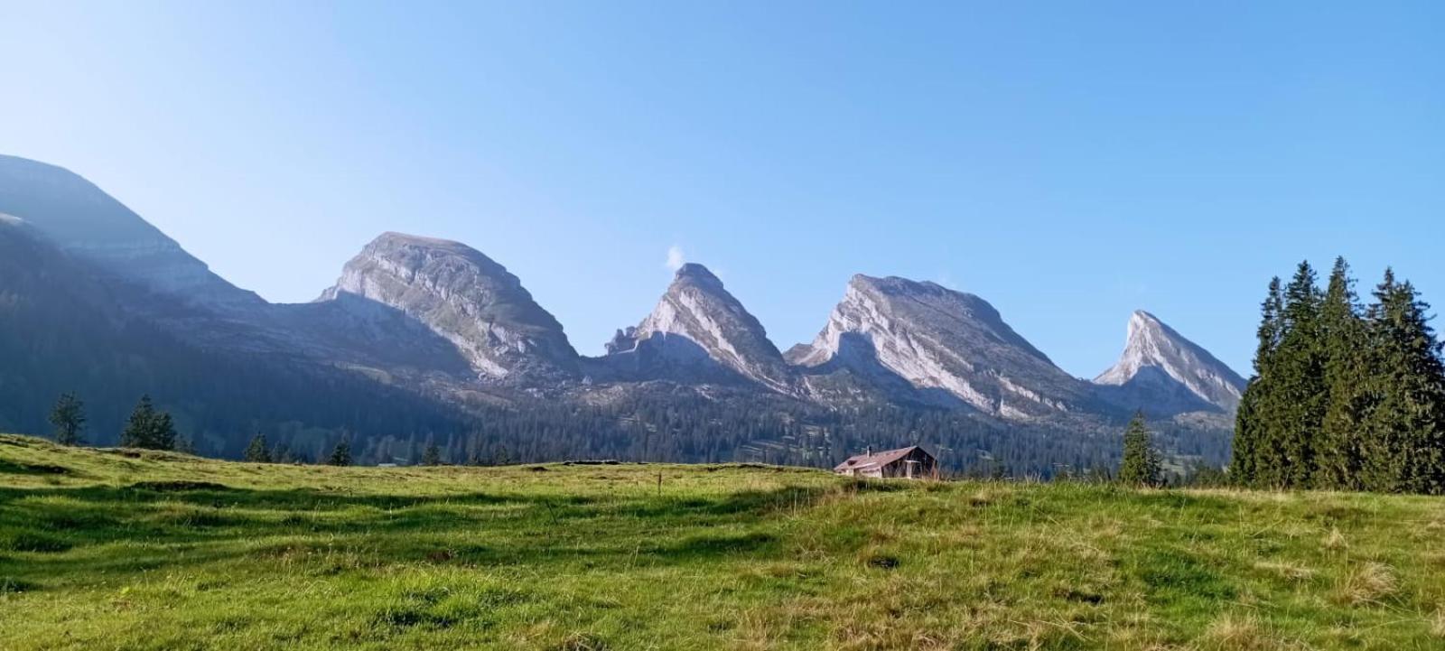Ferienwohnung Haus Am Bach In Toggenburg 빌트하우스 외부 사진